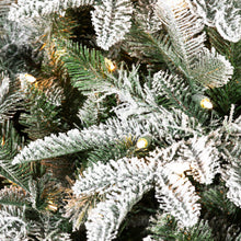 Sapin Mont Blanc