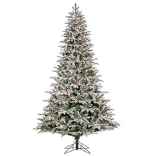 Sapin Mont Blanc