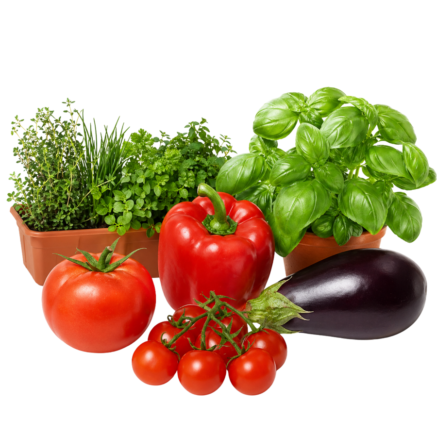 Acti-Sol Natural Fertilizer for Sprinkling on Vegetables and Herbs 4-2-8