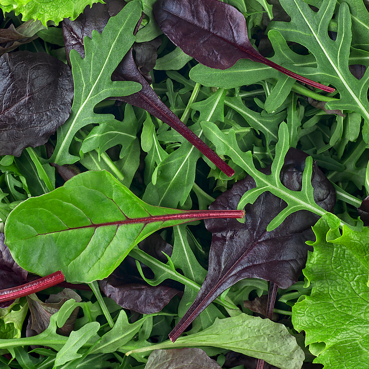 Simply Salad Mix Lettuce
