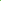 Laitue 'Paris Island Select' bio