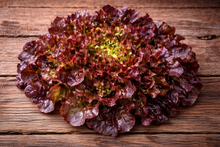 Organic 'Red Salad Bowl' Lettuce