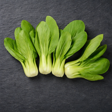 Organic Chinese vegetable 'Bok Choy Shanghai'