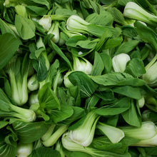 Légumes orientaux 'Bok-choï'