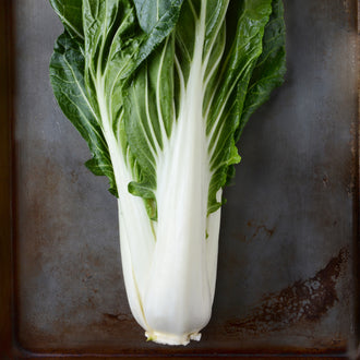 Photo de Légumes orientaux 'White Jewel' F1. La couleur caractéristique est : vert foncé. Le visuel permet d'observer les contours, les teintes et la disposition des éléments présentés. Les détails de forme et les contrastes donnent un aperçu de l'apparence de cette plante ou de sa récolte. Cette photographie accompagne la variété nommée afin de l'identifier dans la sélection de semences.