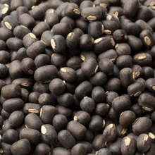 Organic 'Gaia's Apex Brown' lentil