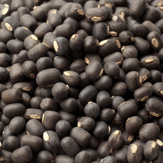 Organic 'Gaia's Apex Brown Lentils Seeds by Gaia, product image prepared for Canadian gardeners.