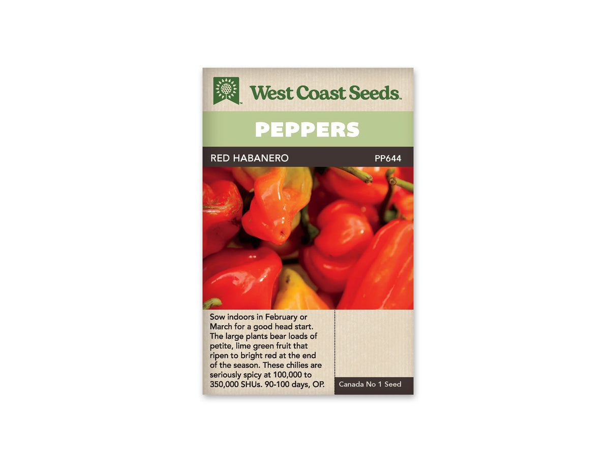 Sachet Red Habanero de West Coast Seeds, avec une bande verte et le nom du piment en noir. La photo réunit de petits fruits lobés rouges, orange et jaunes, avec leurs queues vertes. Les piments occupent le centre du sachet. Une zone beige portant du texte apparaît sous la photo, près du bas.