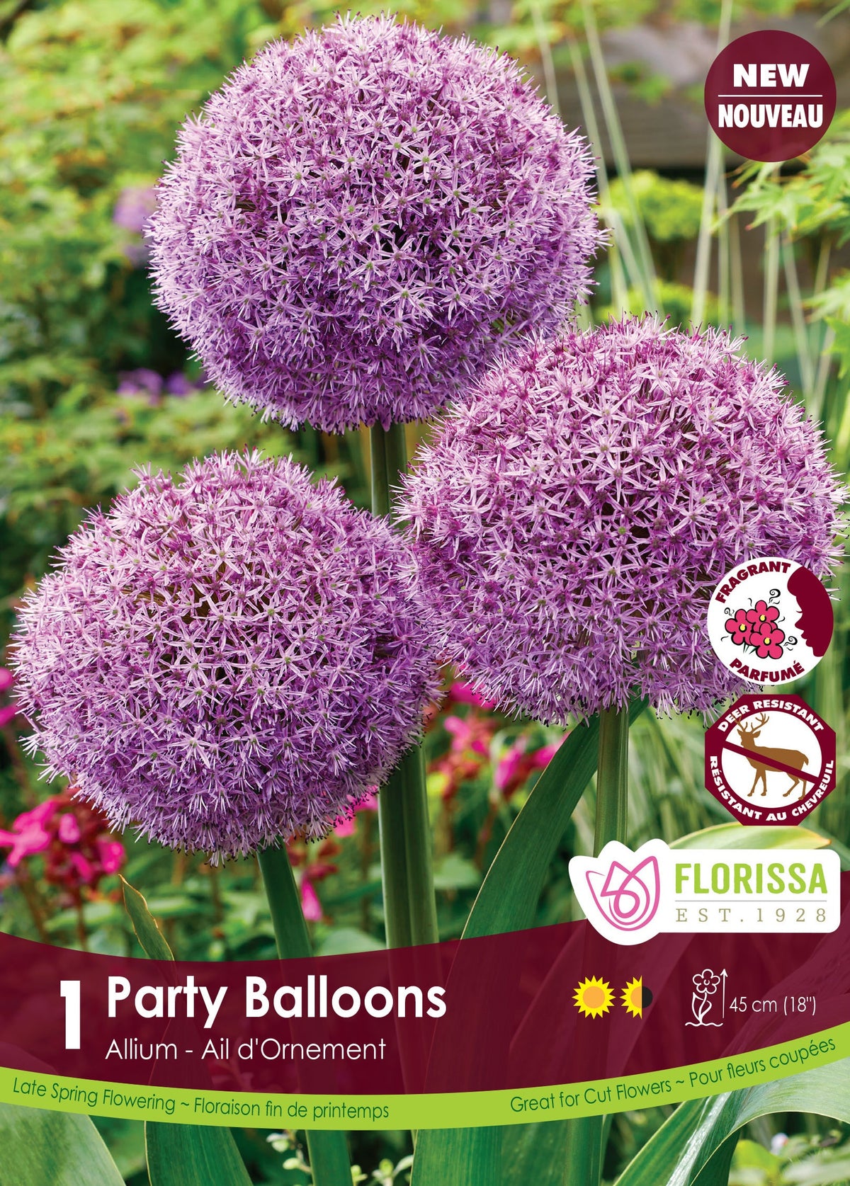 ‘Party Balloons’ ornamental onion (Allium ‘Party Balloons’)