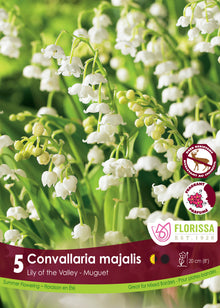 Muguet ‘Convallaria Majalis’ ( Convallaria ) : des clochettes de muguet blanches sur des tiges arquées. Le visuel Florissa présente la plante et son nom dans la partie inférieure de l’étiquette. La photographie occupe presque toute la surface, tandis que le bandeau du bas rassemble les indications du produit. Cette vue permet de reconnaître son apparence et de distinguer la variété présentée.
