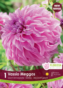 Dahlia géant ‘Vassio Meggos’ ( Dahlia ) : un grand dahlia rose lilas aux pétales nombreux. Le visuel Florissa présente la plante et son nom dans la partie inférieure de l’étiquette. La photographie occupe presque toute la surface, tandis que le bandeau du bas rassemble les indications du produit. Cette vue permet de reconnaître son apparence et de distinguer la variété présentée.