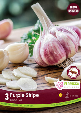 'Purple Stripe' Garlic
