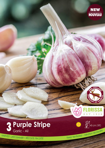 'Purple Stripe' Garlic