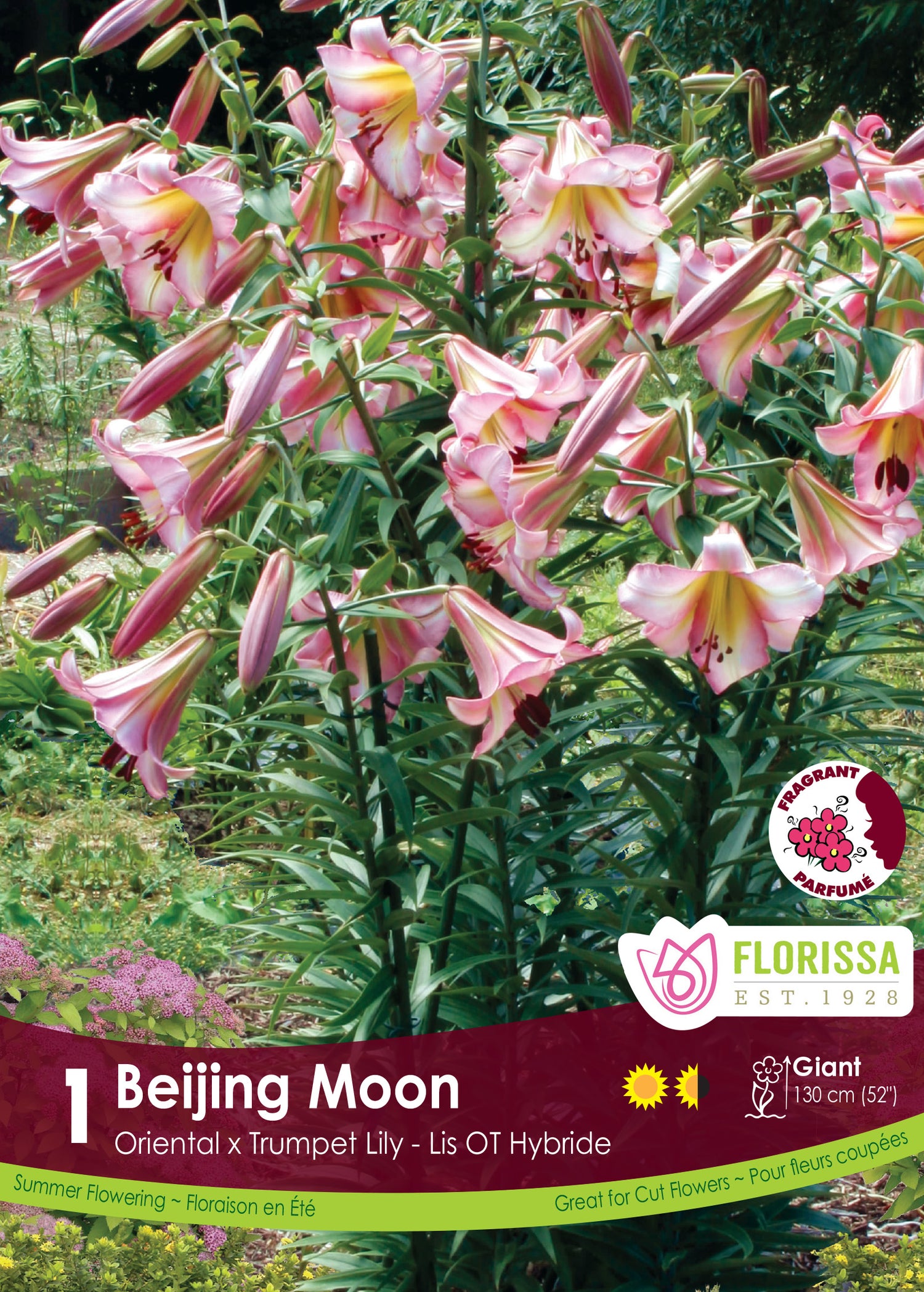Read 'Beijing Moon'