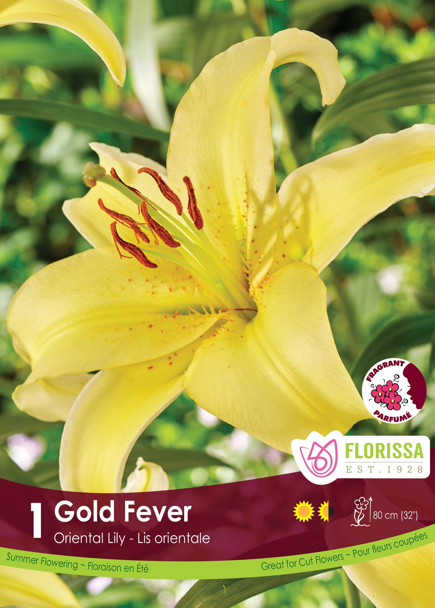 Read 'Gold Fever'