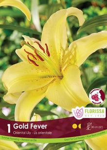 Lis ‘Gold Fever’ ( Lilium ) : une grande fleur de lys jaune avec des étamines brunes. Le visuel Florissa présente la plante et son nom dans la partie inférieure de l’étiquette. La photographie occupe presque toute la surface, tandis que le bandeau du bas rassemble les indications du produit. Cette vue permet de reconnaître son apparence et de distinguer la variété présentée.