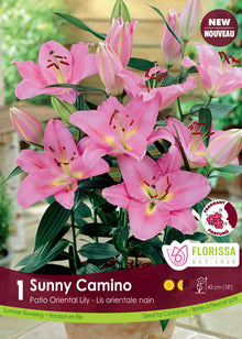 Lis Patio Oriental ‘Sunny Camino’ ( Lilium ) : des lys roses à gorge claire sur une plante feuillée. Le visuel Florissa présente la plante et son nom dans la partie inférieure de l’étiquette. La photographie occupe presque toute la surface, tandis que le bandeau du bas rassemble les indications du produit. Cette vue permet de reconnaître son apparence et de distinguer la variété présentée.