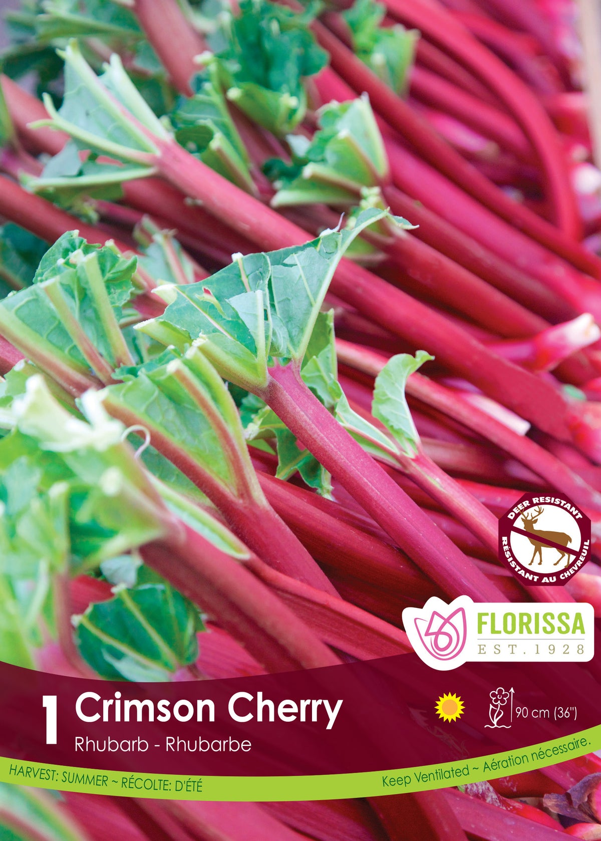 Rhubarbe ‘Crimson Cherry’ ( Rheum × hybridum ) : un ensemble de longues tiges de rhubarbe rouges avec quelques feuilles vertes. Le visuel Florissa présente la plante et son nom dans la partie inférieure de l’étiquette. La photographie occupe presque toute la surface, tandis que le bandeau du bas rassemble les indications du produit. Cette vue permet de reconnaître son apparence et de distinguer la variété présentée.