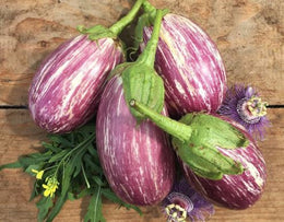 Organic eggplant 'Listada De Gandia'