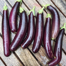 Organic 'Little Finger' eggplant