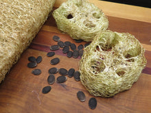 Loofah