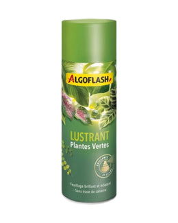Lustrant plantes vertes Algoflash