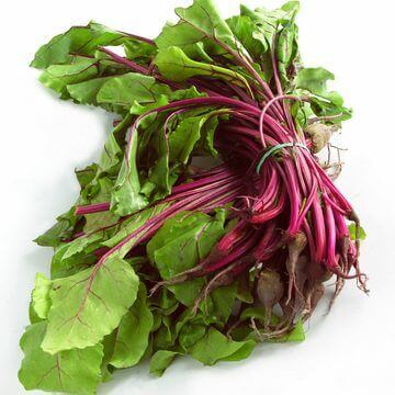 Beet 'Lutz Green Leaf'