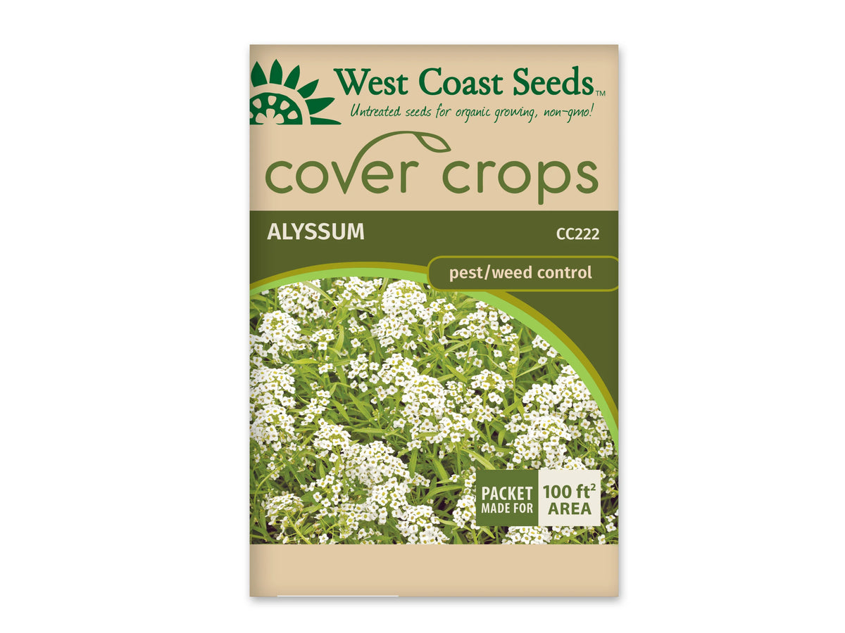 Sachet beige et vert West Coast Seeds de la gamme Cover Crops, portant le nom anglais Alyssum et le code CC222. La photo centrale montre de nombreuses petites fleurs blanches à quatre pétales, regroupées au-dessus d'un feuillage vert étroit. Un encadré vert et blanc dans le coin inférieur droit annonce une couverture de 100 pieds carrés. Le sachet est présenté sur fond blanc.