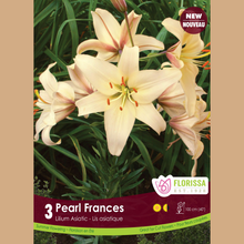 Lis asiatique ‘Pearl Frances’ ( Lilium ) : des lys crème légèrement teintés de pêche. Le visuel Florissa présente la plante et son nom dans la partie inférieure de l’étiquette. La photographie occupe presque toute la surface, tandis que le bandeau du bas rassemble les indications du produit. Cette vue permet de reconnaître son apparence et de distinguer la variété présentée.