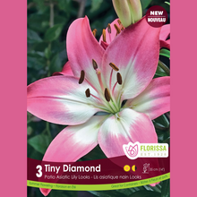 Lys Patio ‘Tiny Diamond’ (3 bulbes) ( Lilium ) : un lys rose bordé de blanc avec un cœur verdâtre. Le visuel Florissa présente la plante et son nom dans la partie inférieure de l’étiquette. La photographie occupe presque toute la surface, tandis que le bandeau du bas rassemble les indications du produit. Cette vue permet de reconnaître son apparence et de distinguer la variété présentée.