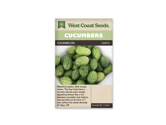 Sachet beige de semences Cucamelon avec bande verte et nom sur fond brun. La photo centrale montre un amas de petits fruits ovales verts sur un fond blanc. Leur peau est marquée de dessins vert clair irréguliers qui évoquent des pastèques miniatures. Quelques extrémités sèches sont visibles. Le texte descriptif anglais apparaît dans la partie inférieure.