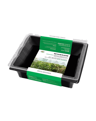 Mini Serre 'Micropousses de Broccoli Biologique' — photo sur fond blanc