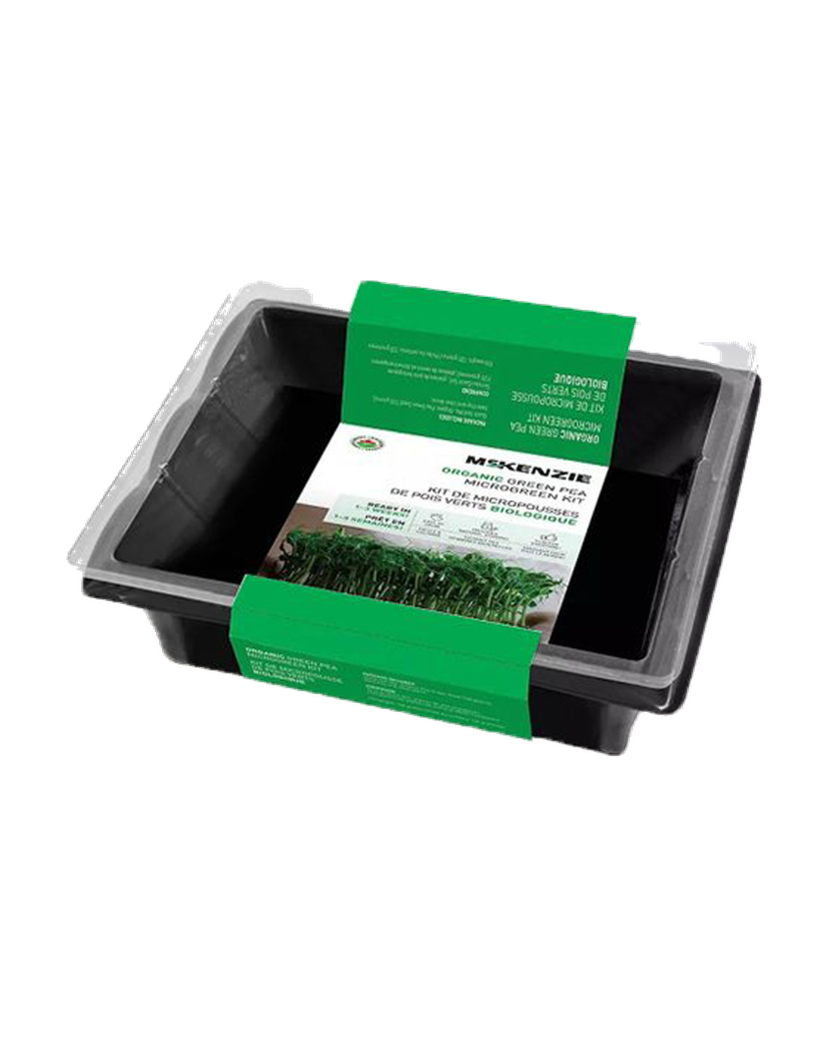 Mini Serre 'Micropousses de Pois Verts Biologique' — photo sur fond blanc