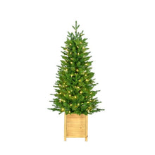 Ornement de Noël – Vert – lumières blanc chaud – 4 pi