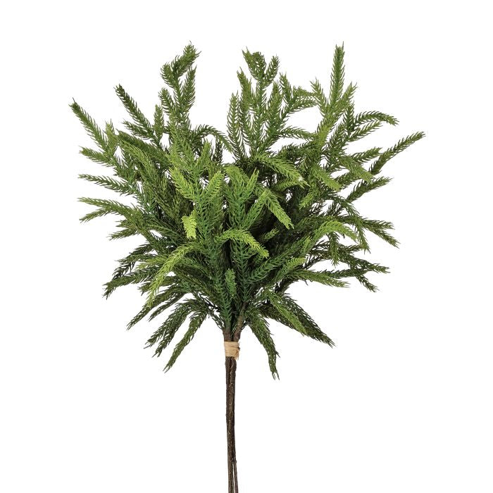 Tige décorative de Noël Norfolk — 17 po sur fond blanc