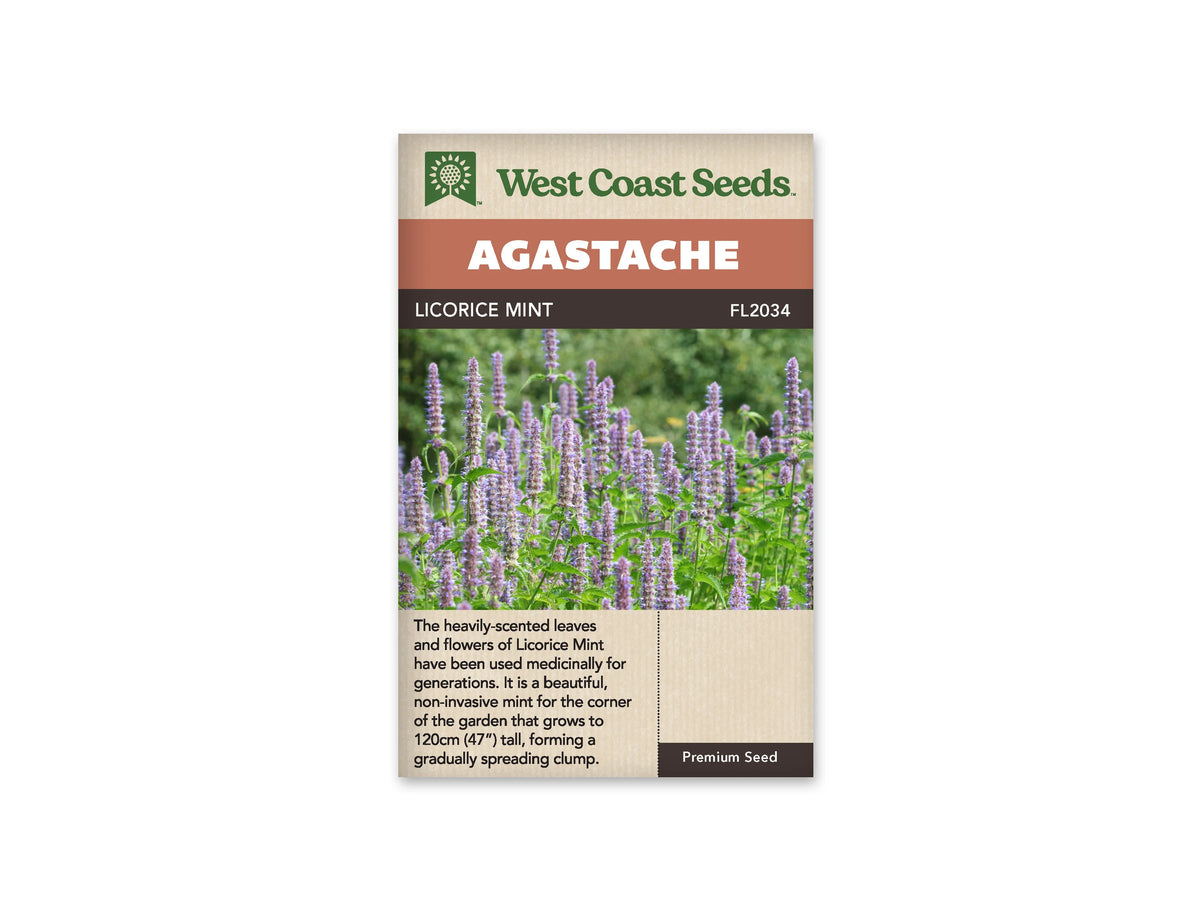 Sachet d’agastache Licorice Mint de West Coast Seeds, de face sur fond blanc. La photo présente de nombreux épis dressés de fleurs lavande au-dessus d’un feuillage vert, dans une plantation dense. Le nom et la référence FL2034 figurent sous le bandeau Agastache. Des indications en anglais occupent le bas de l’emballage beige.