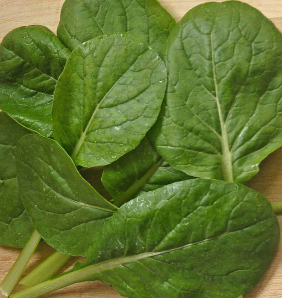Plusieurs feuilles vertes sont étalées sur une surface de bois clair. Leurs limbes ovales et allongés montrent des nervures bien marquées et une texture légèrement gaufrée. Des gouttes d’eau brillent par endroits. Les pétioles vert pâle se croisent vers le bas de l’image, tandis que les feuilles se superposent en laissant voir de petits espaces de bois entre elles.