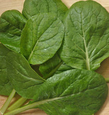 Plusieurs feuilles vertes sont étalées sur une surface de bois clair. Leurs limbes ovales et allongés montrent des nervures bien marquées et une texture légèrement gaufrée. Des gouttes d’eau brillent par endroits. Les pétioles vert pâle se croisent vers le bas de l’image, tandis que les feuilles se superposent en laissant voir de petits espaces de bois entre elles.