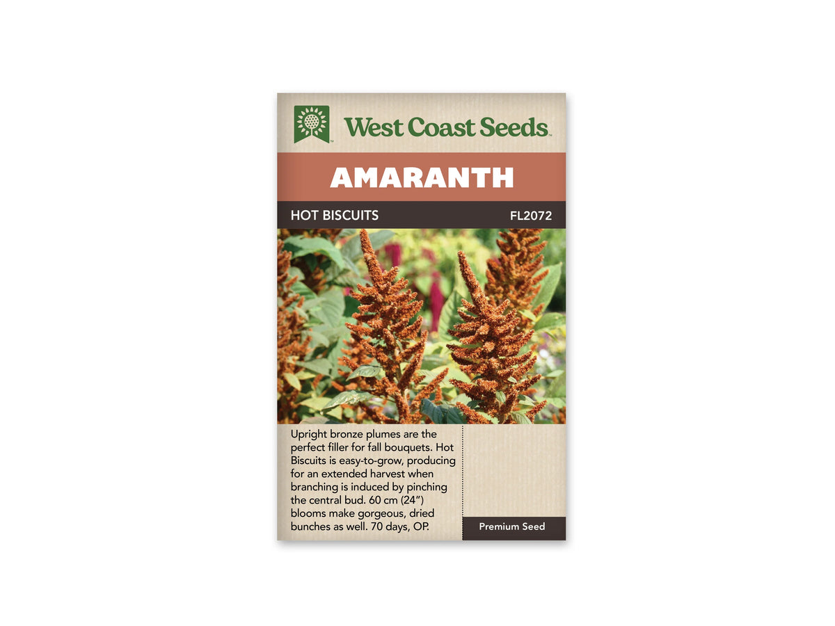 Sachet d’amarante Hot Biscuits de West Coast Seeds sur fond blanc. La photographie montre des panaches dressés, ramifiés et brun bronze parmi des feuilles vertes. Le nom Hot Biscuits et la référence FL2072 apparaissent sous le bandeau Amaranth. Un texte anglais décrivant les fleurs et leur utilisation occupe le bas beige de l’emballage.