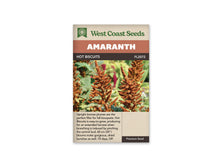 Sachet d’amarante Hot Biscuits de West Coast Seeds sur fond blanc. La photographie montre des panaches dressés, ramifiés et brun bronze parmi des feuilles vertes. Le nom Hot Biscuits et la référence FL2072 apparaissent sous le bandeau Amaranth. Un texte anglais décrivant les fleurs et leur utilisation occupe le bas beige de l’emballage.