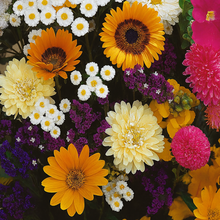 old-fashioned flowerbed mix
