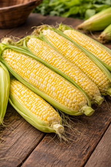 Organic 'Supersweet 2171' Corn