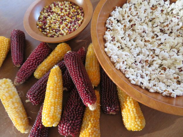 'Fireside' Popcorn