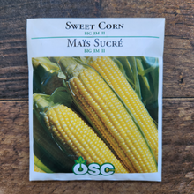 'Big Jim III' Sweetcorn