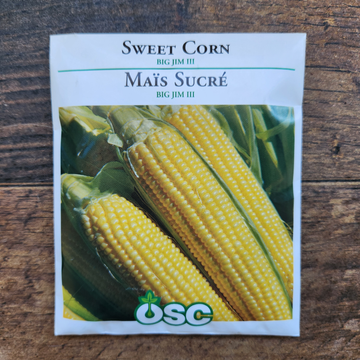 Maïs sucré 'Big Jim III'