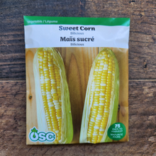 Sweet Corn 'Bilicious' 
