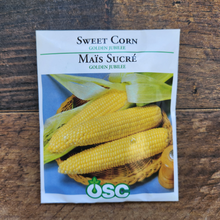 'Golden Jubilee' Sweetcorn