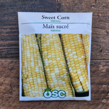 'Nirvana' Sweetcorn