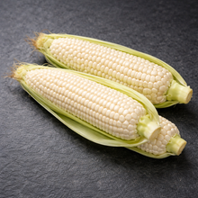 Organic 'Tuxana' Sweetcorn