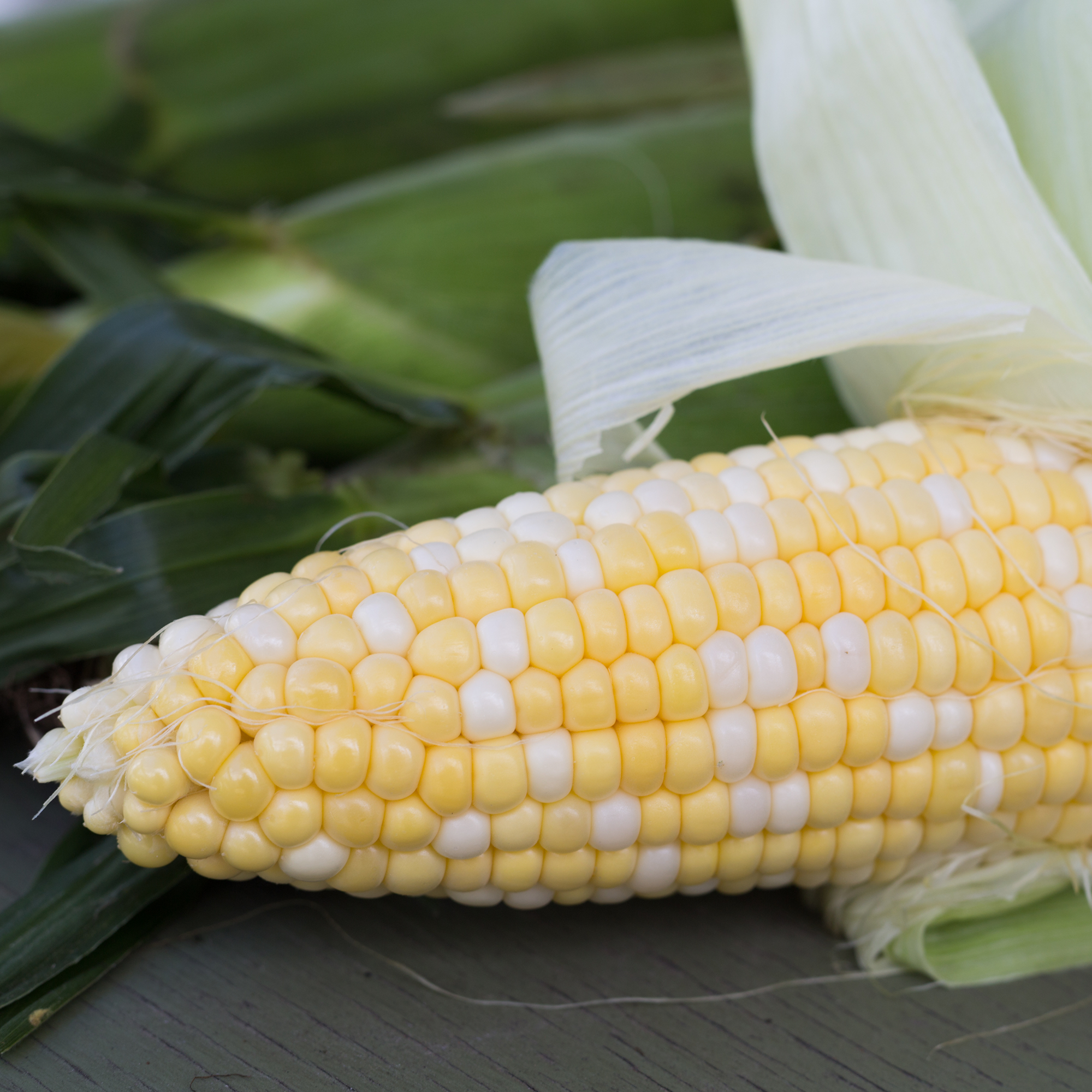 Two-colored Sweet Corn